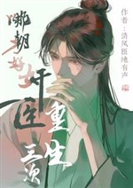 Thái Tử điện hạ, bản quan không phải nam sủng
